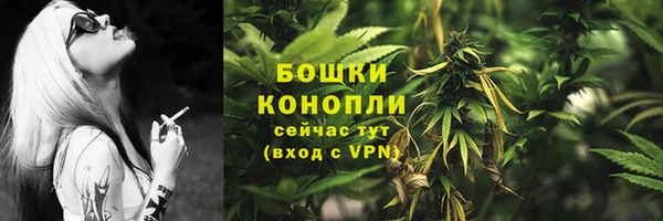 PSILOCYBIN Беломорск