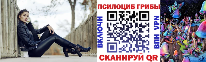 Галлюциногенные грибы Magic Shrooms  Купить  Гурьевск 